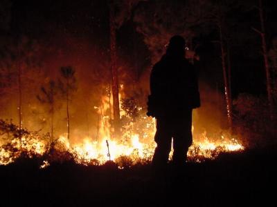 Firefighter watching for embers, National Park Service image