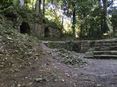 Palenque Group IV