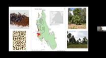 Embedded thumbnail for 2022-05-04 BB: Uneven Ground: The Archaeology of Settlement Reorganization in Zanzibar, Tanzania