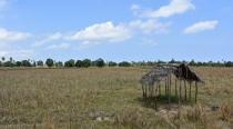 Embedded thumbnail for Term Inland Settlement and Agricultural Change in Zanzibar, Tanzania